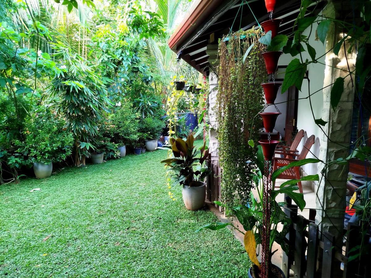 Summer Breeze - Housity