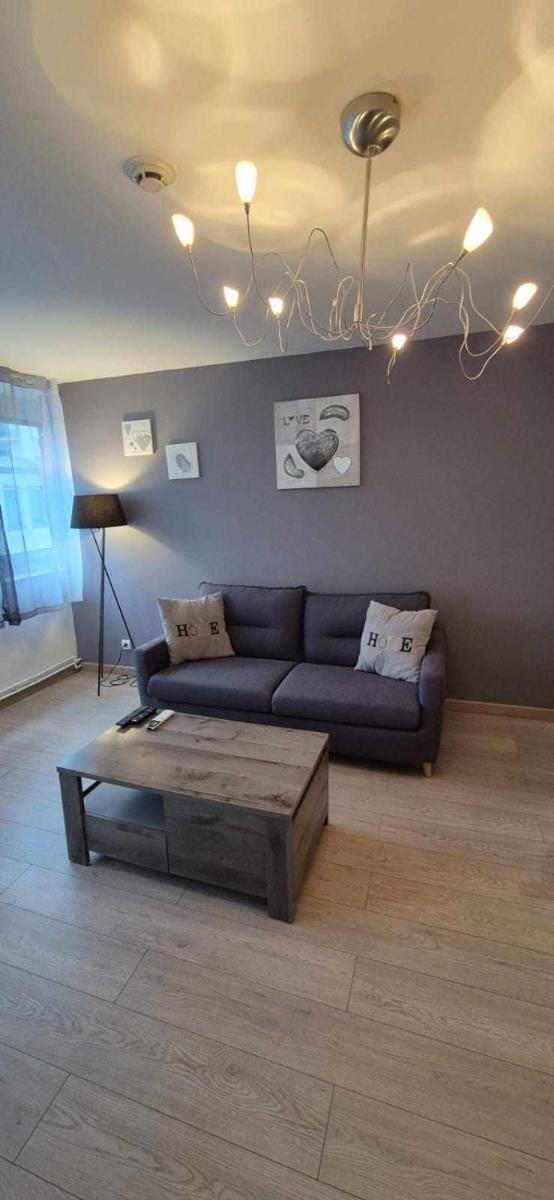 Nouveau !! Appartement confortable totalement rénové avec parking gratuit - Hypercentre de Nancy - Housity