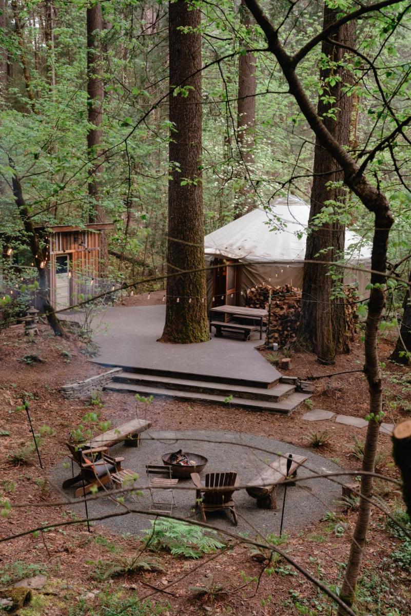 Your private Yurt in the woods - Nevada City - Housity