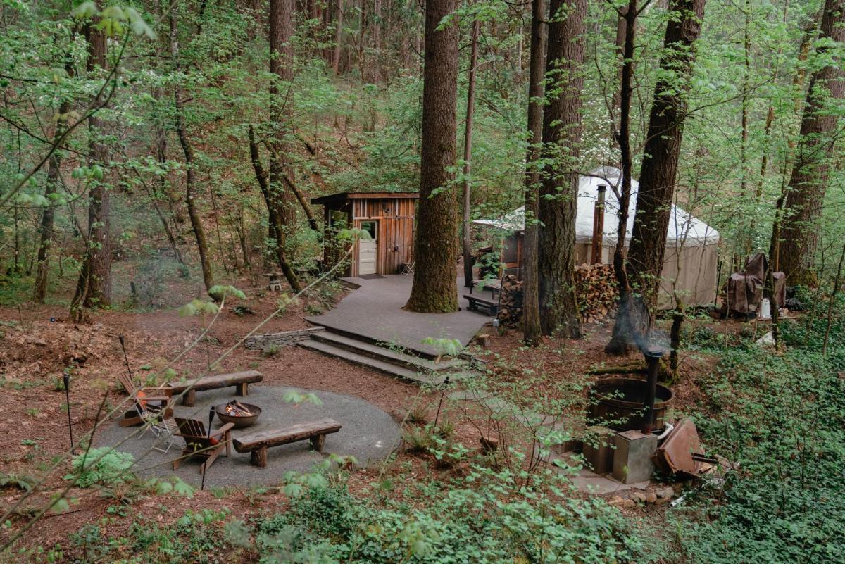 Your private Yurt in the woods - Nevada City - Housity