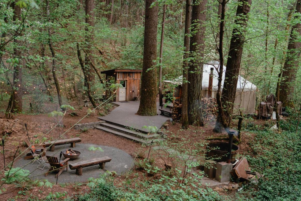 Your private Yurt in the woods - Nevada City - Housity