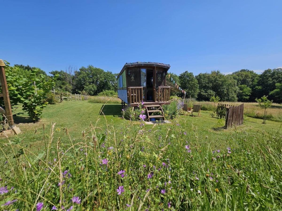 Roulotte Fleur des Champs - Housity