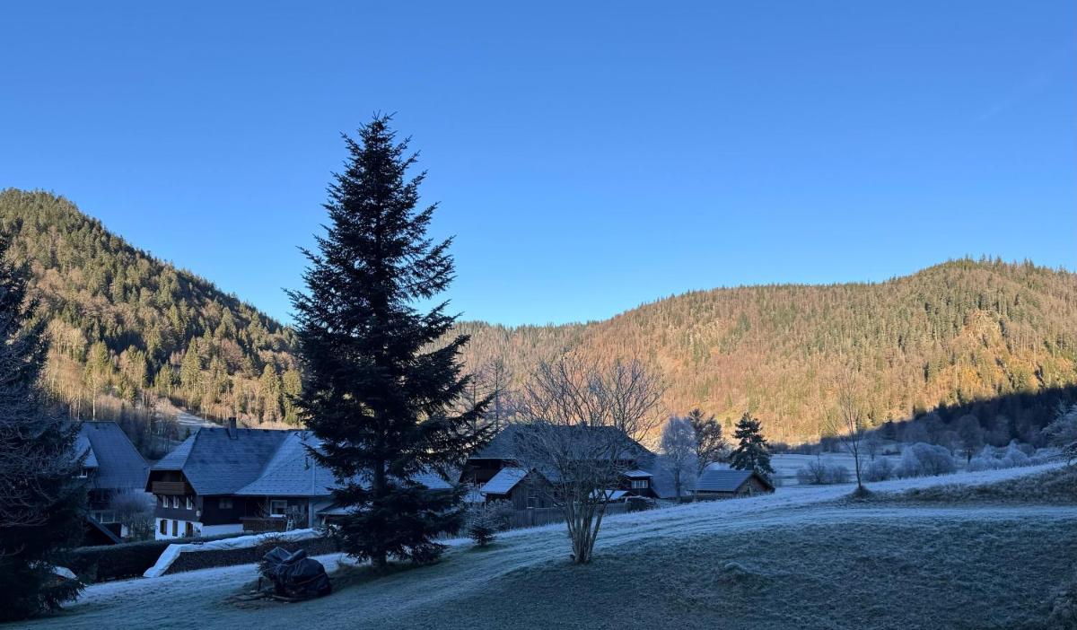 Schwarzwaldhaus - Fewo Fichte, St Blasien - Menzenschwand - Housity