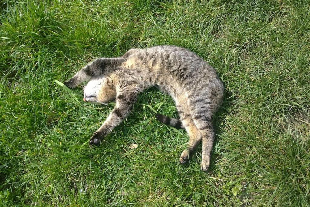 Cascina Baracico, stanza della pace - Housity