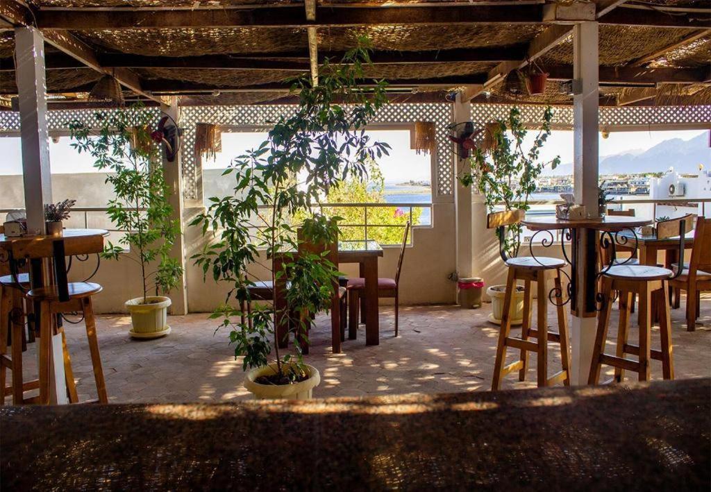 Golden Europe Hotel - Housity