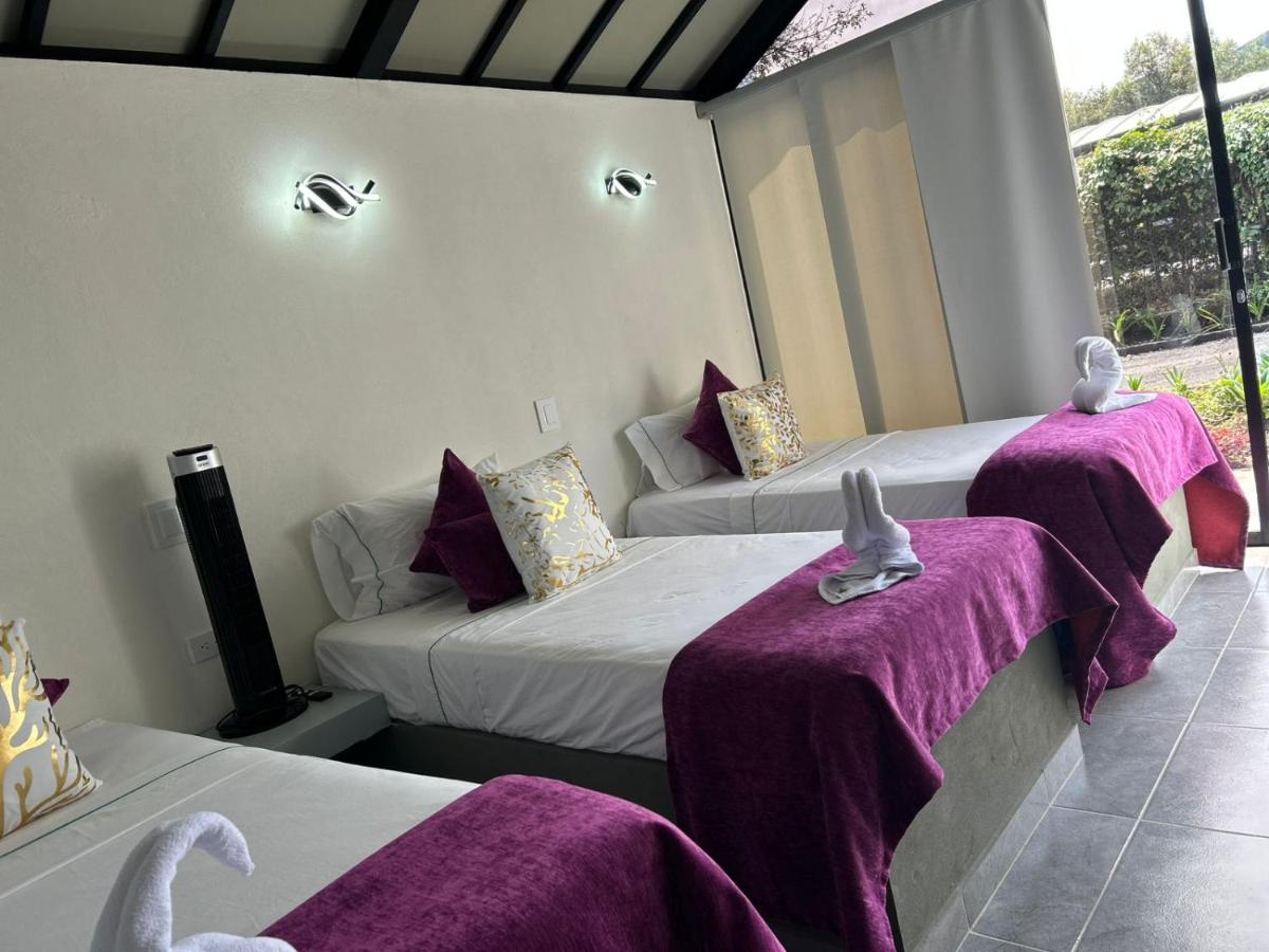 STAR CENTER Hotel Boutique - Housity