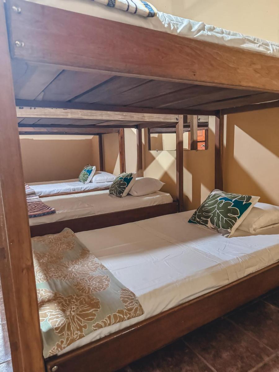 The Mayan Garden - Housity