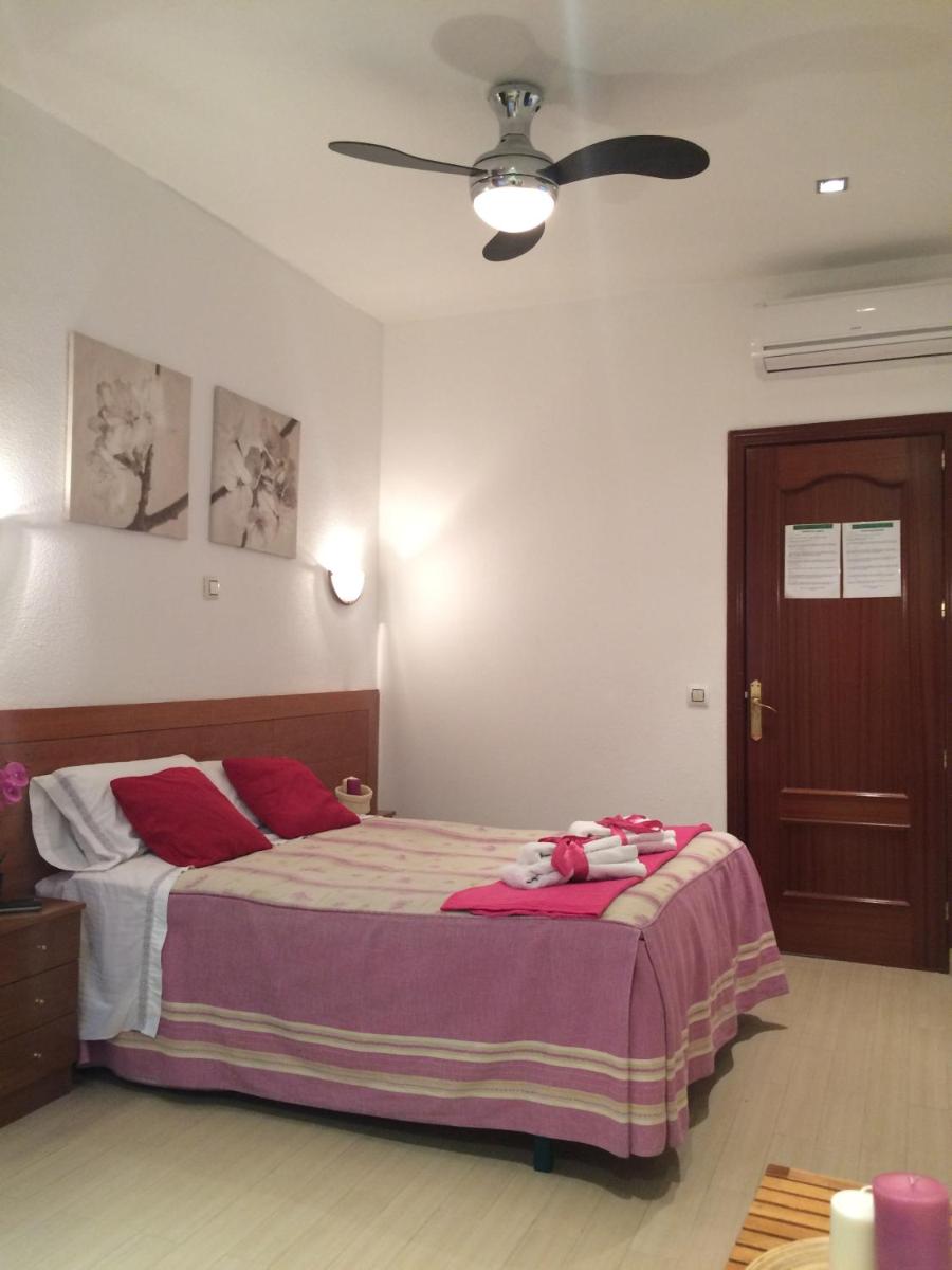Hostal Aliste - Housity