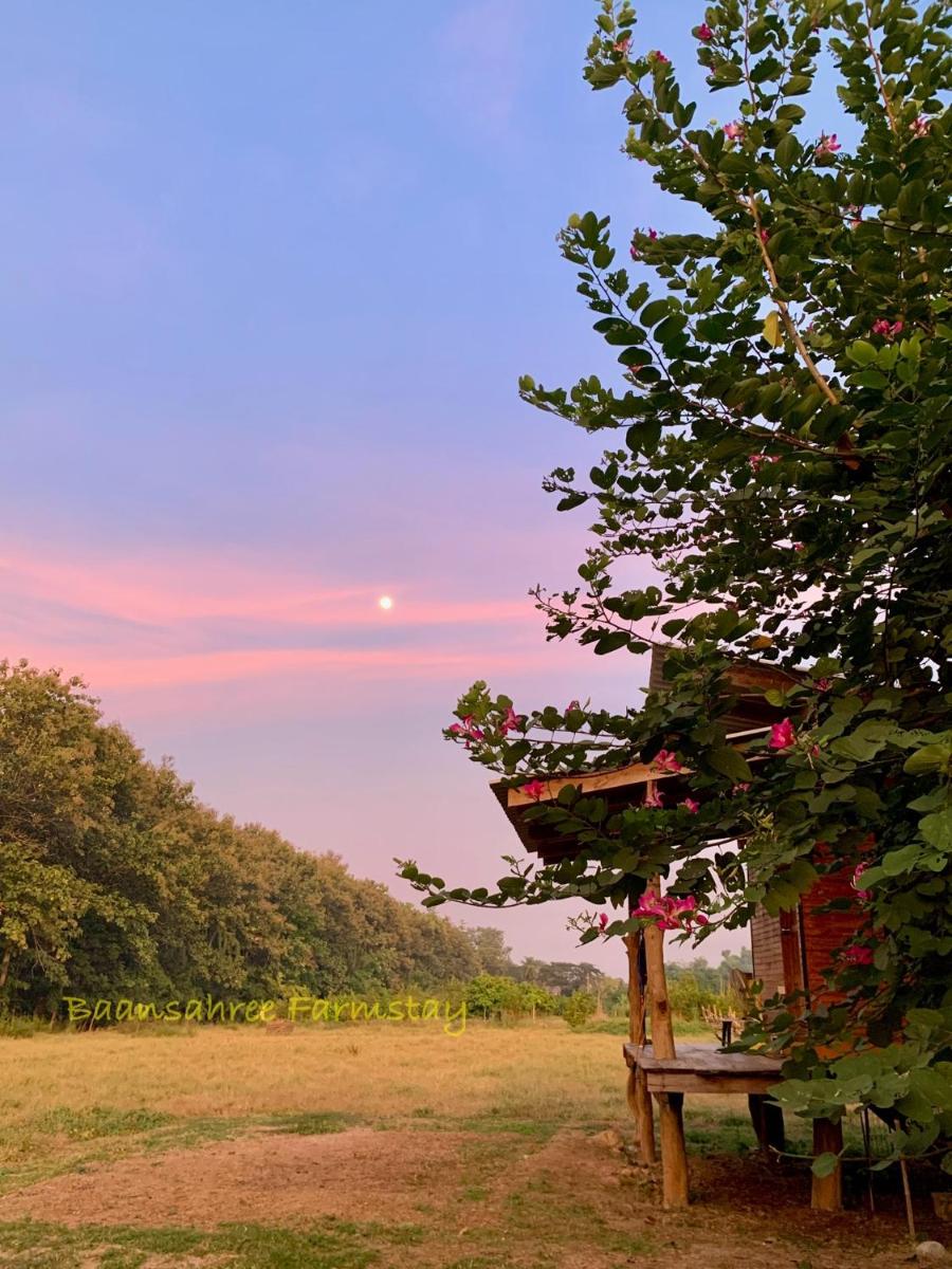 Baansahree Farmstay - Housity