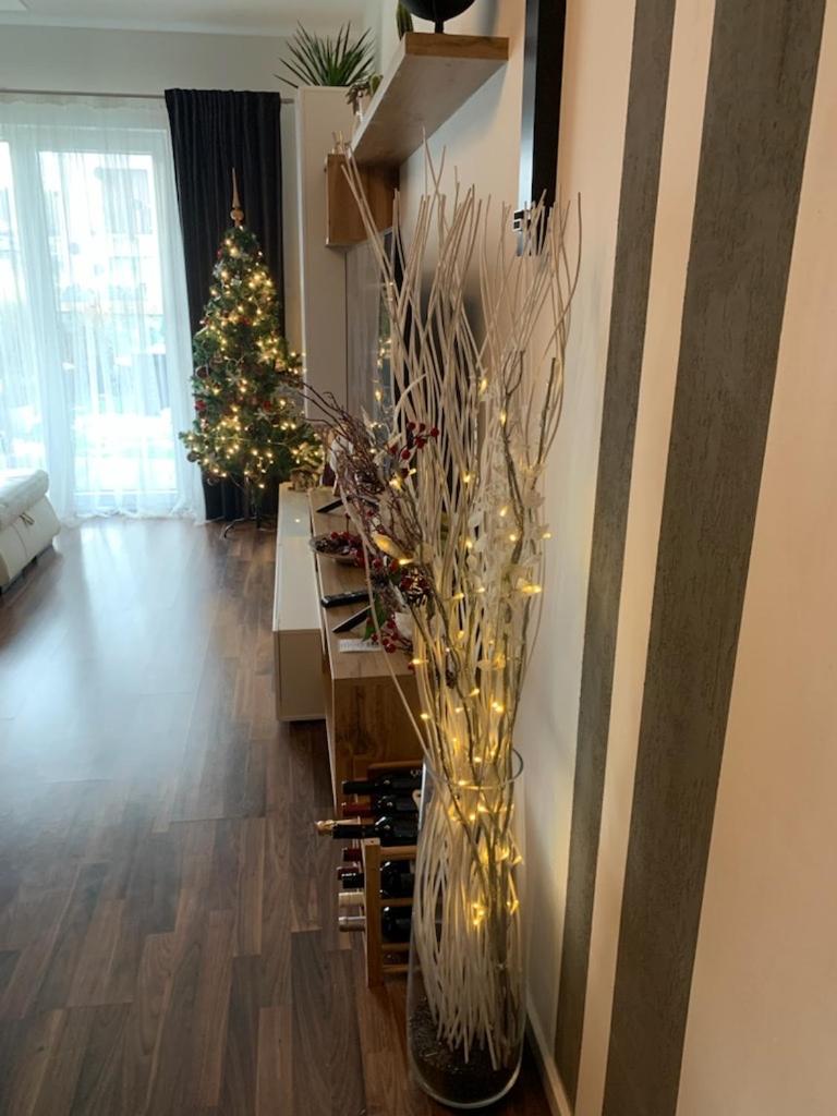 Krejcarek Garden Apartment - Housity