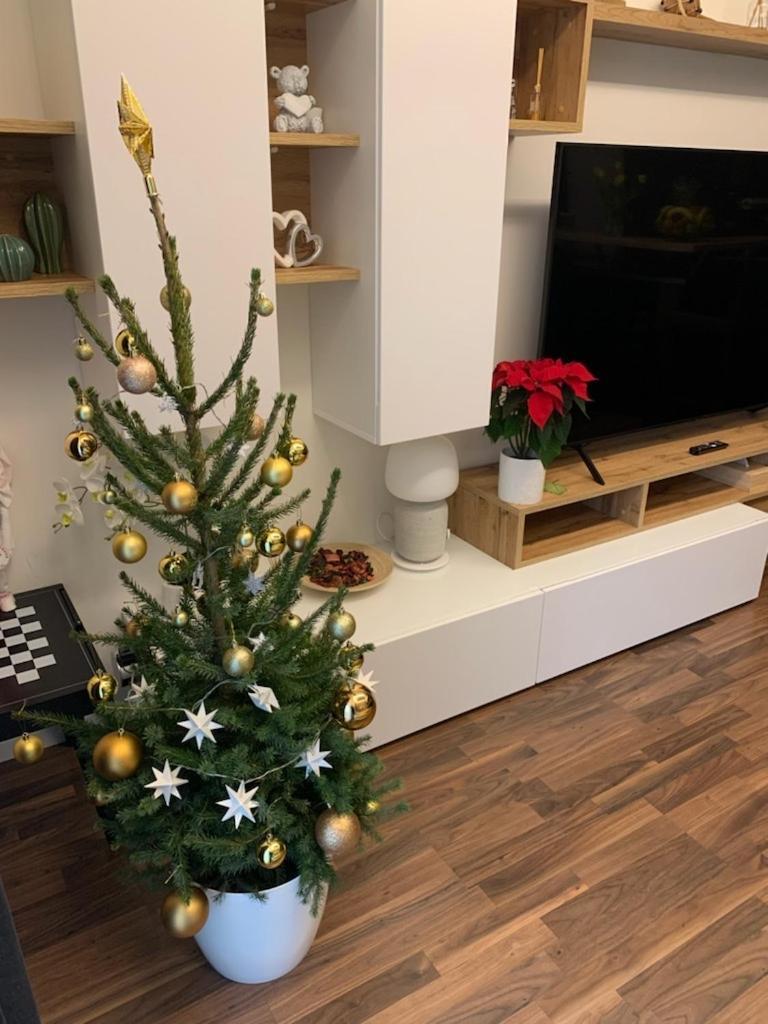 Krejcarek Garden Apartment - Housity
