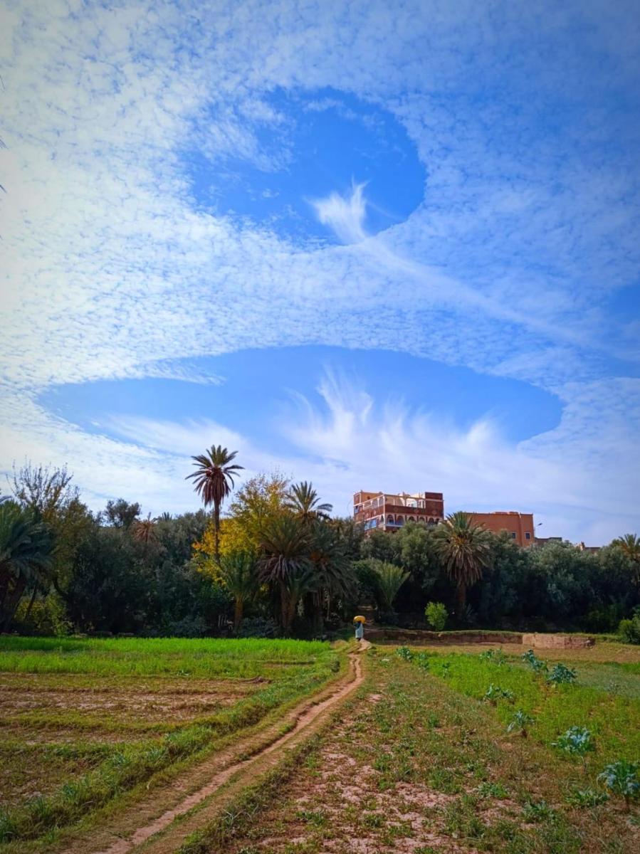 Riad iriki - Housity
