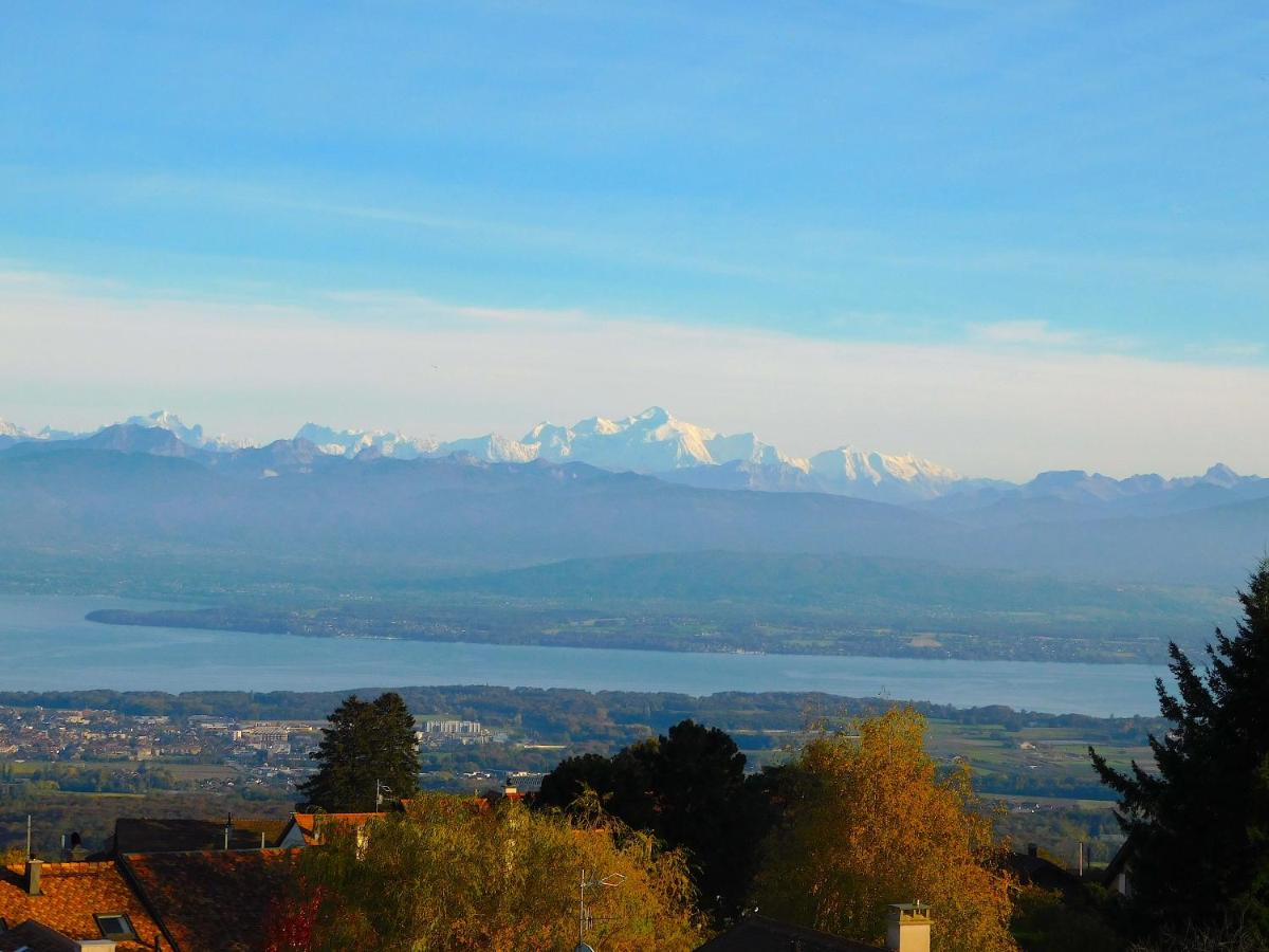 Auberge de l'Union - Housity