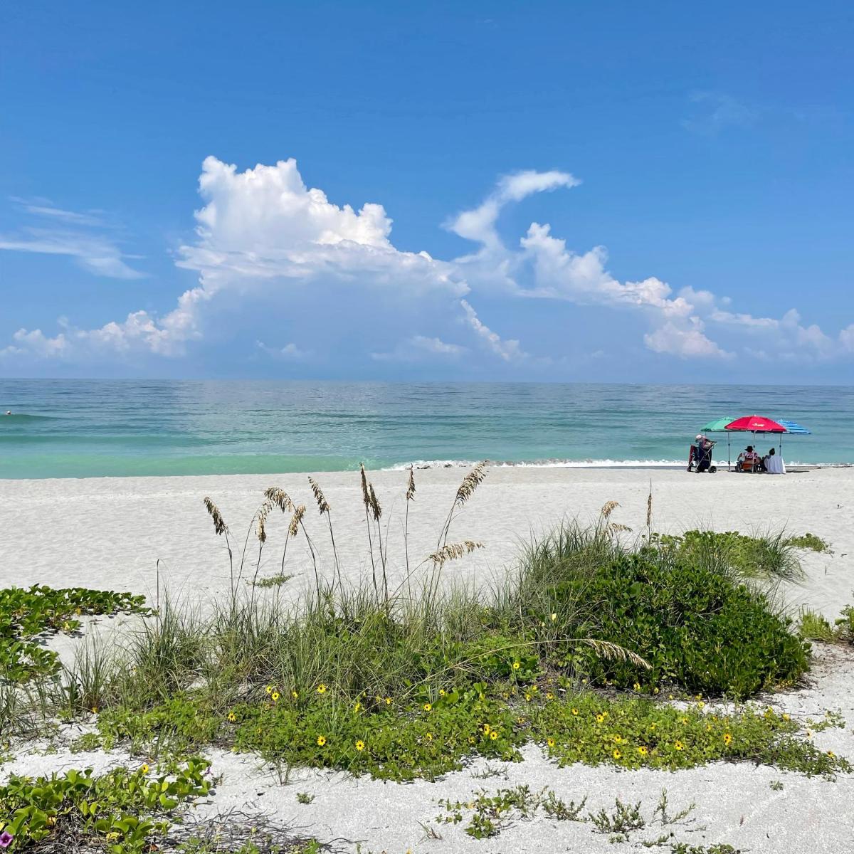 Turtle Beach Resort - Housity