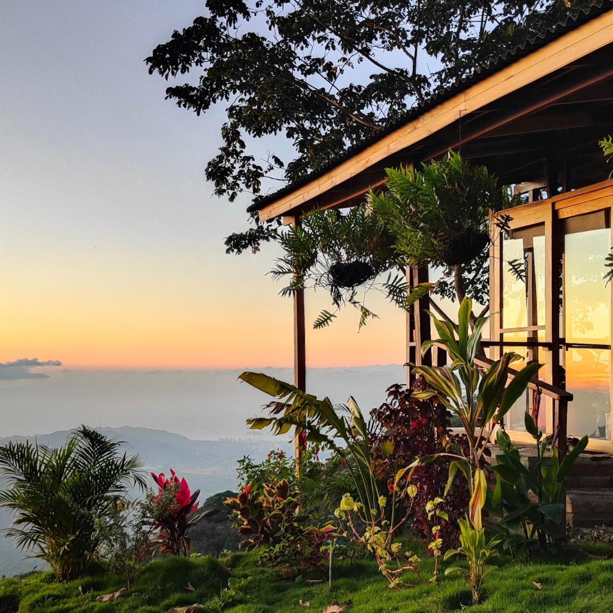 Minca Sintropia - Sustainable Lodge & Organic Coffee Finca - Housity