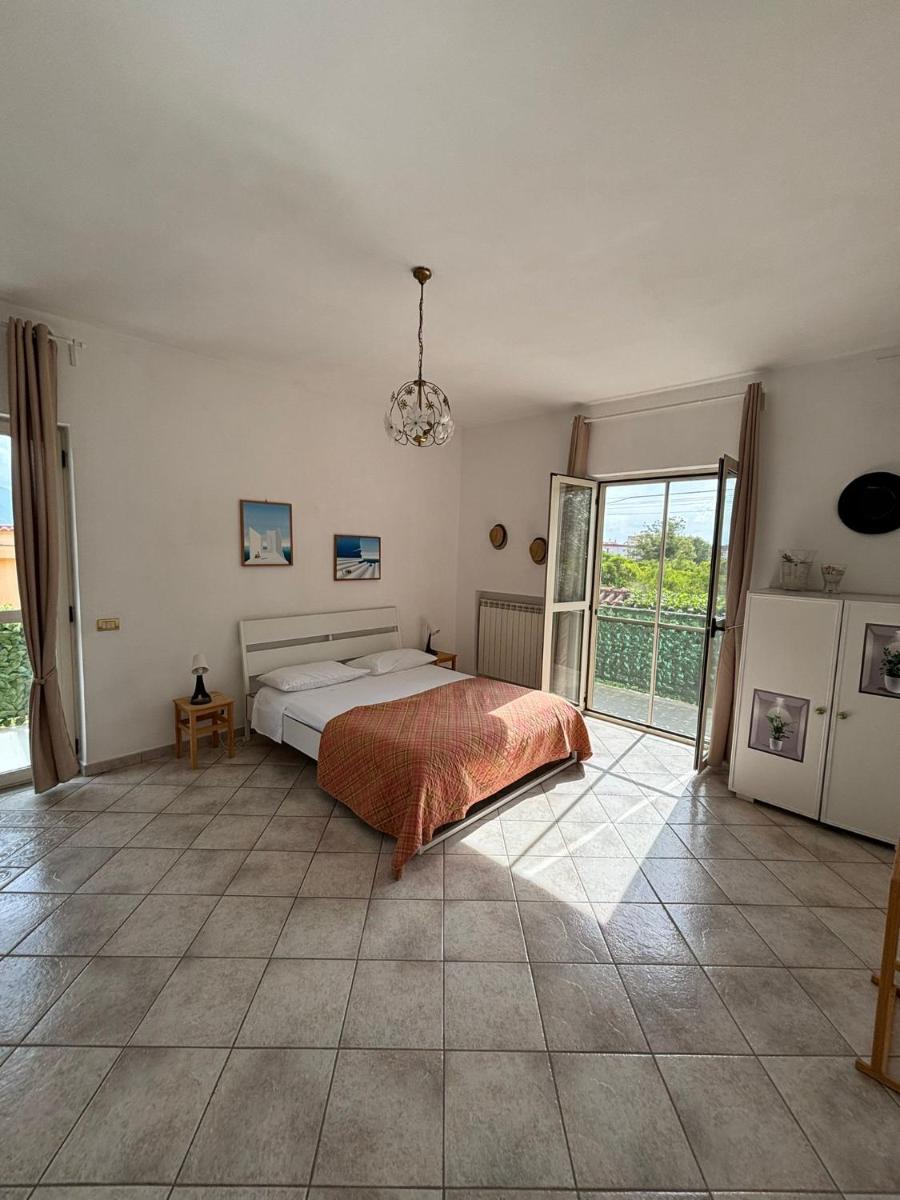 Vesuvius garden - Housity