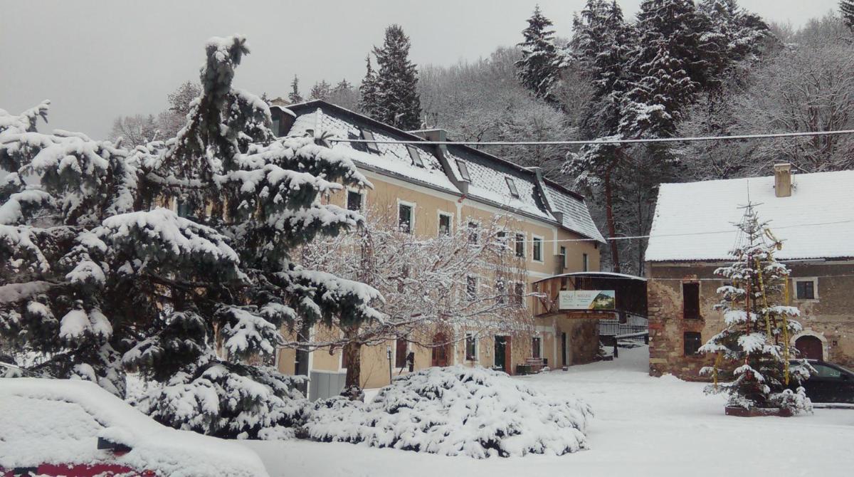 Młyn Wielisław Agroturystyka i Restauracja - Housity