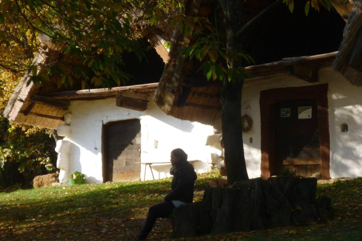 Vadszőlő Vendégház - Housity
