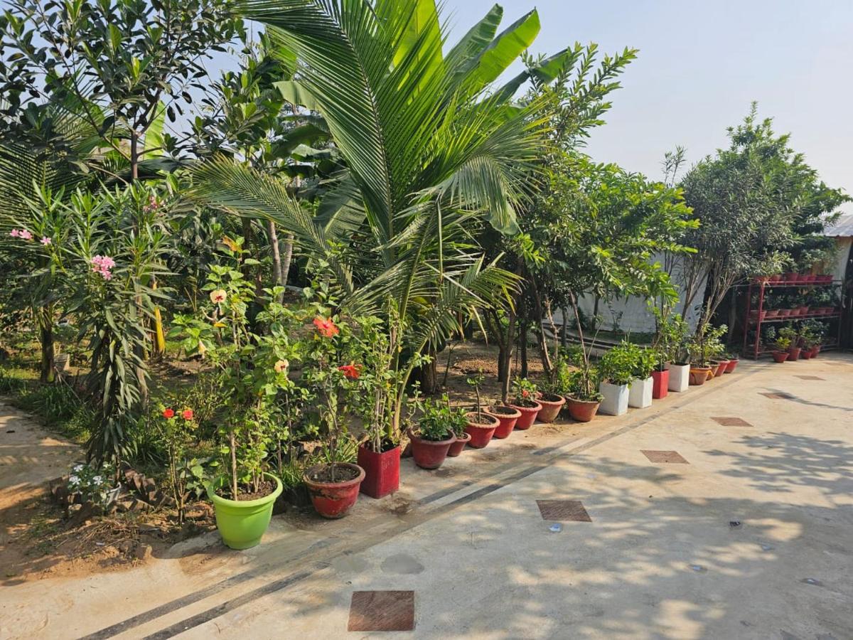 Asian Grand Villa - Housity