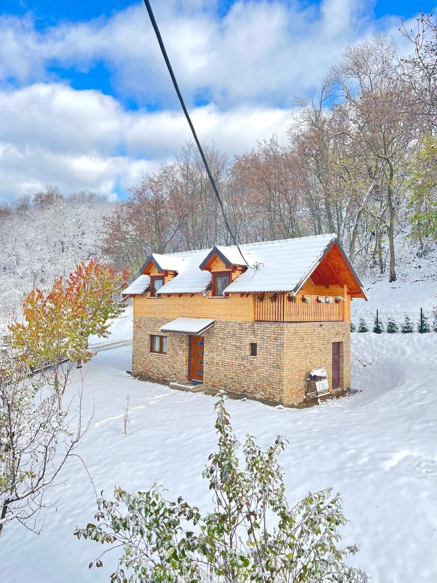 Vikend kuca pod lipom - Housity