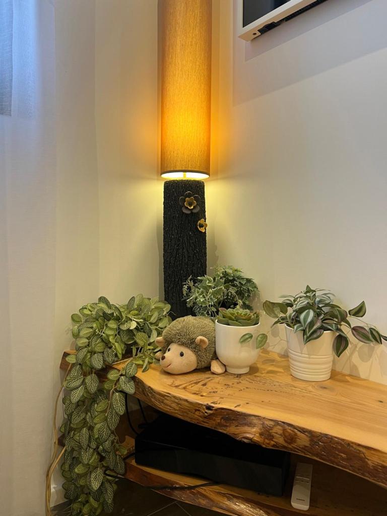 Félix Le Renfrogné Aubagne-Cassis-Aix en Provence - Housity