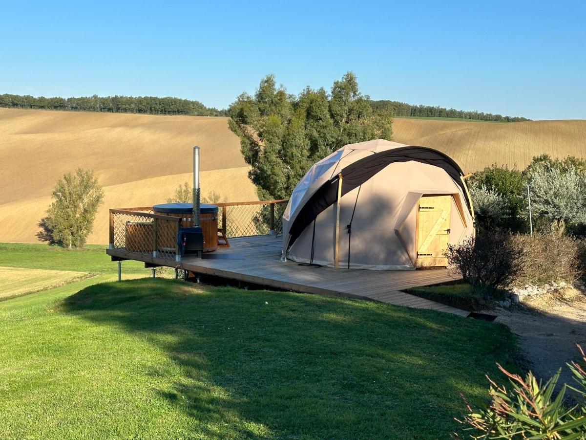 La Grande Oasis - Logements Atypiques - Housity