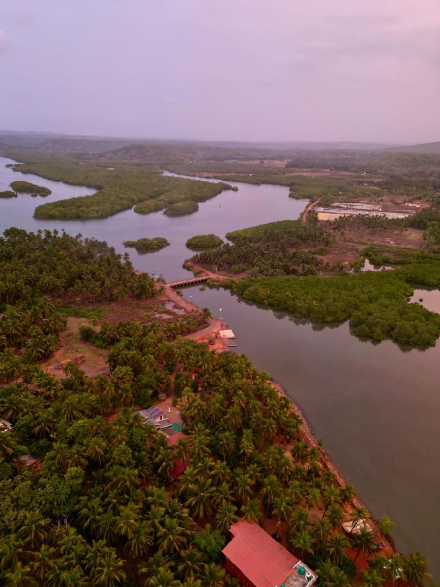 The Mangrove - Housity