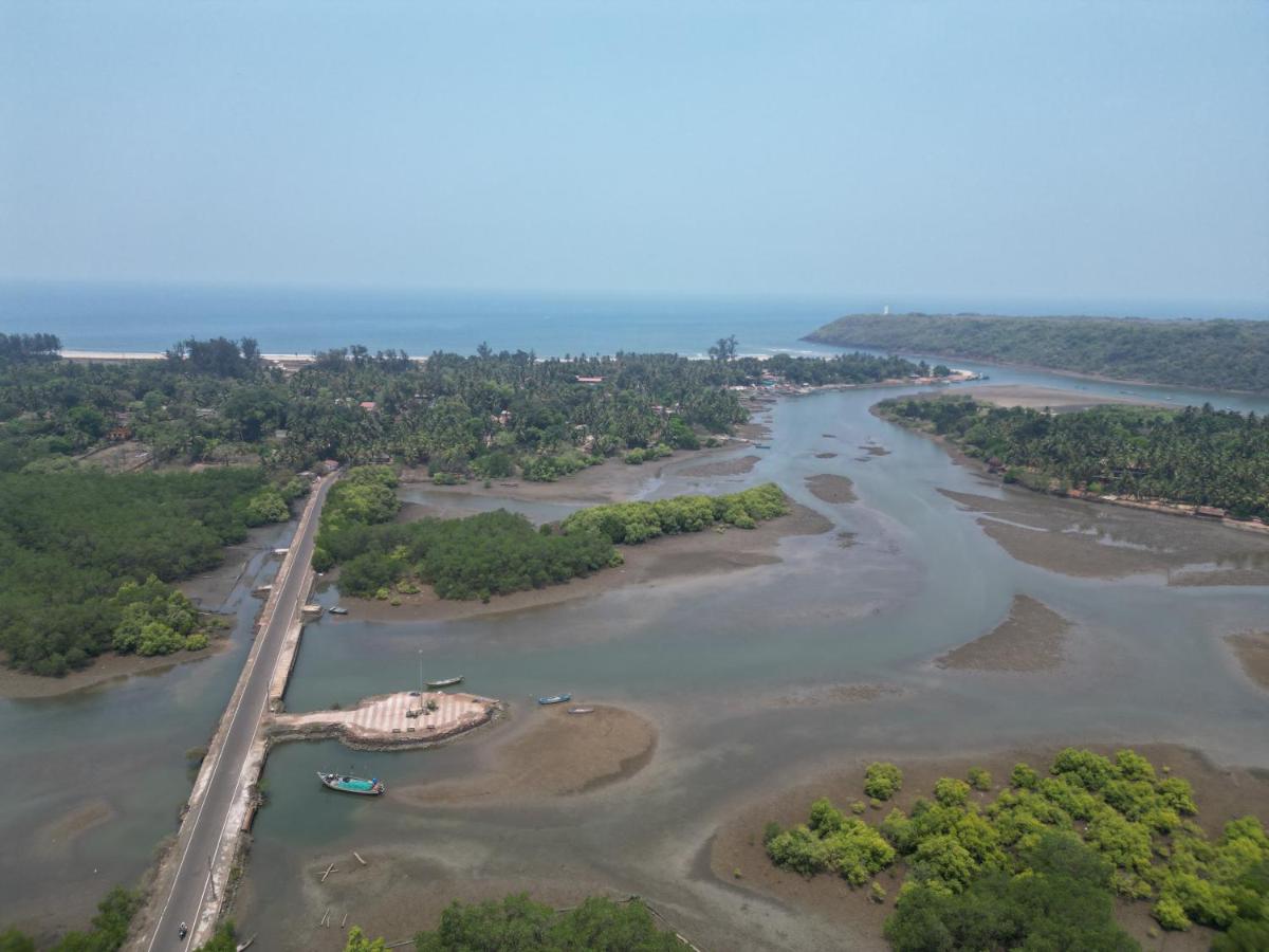 The Mangrove - Housity