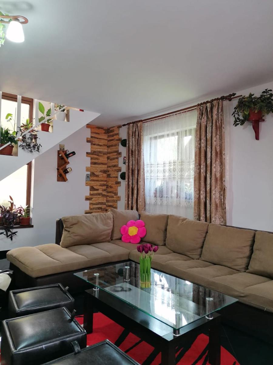 Cabana Acasă la Delia - Housity