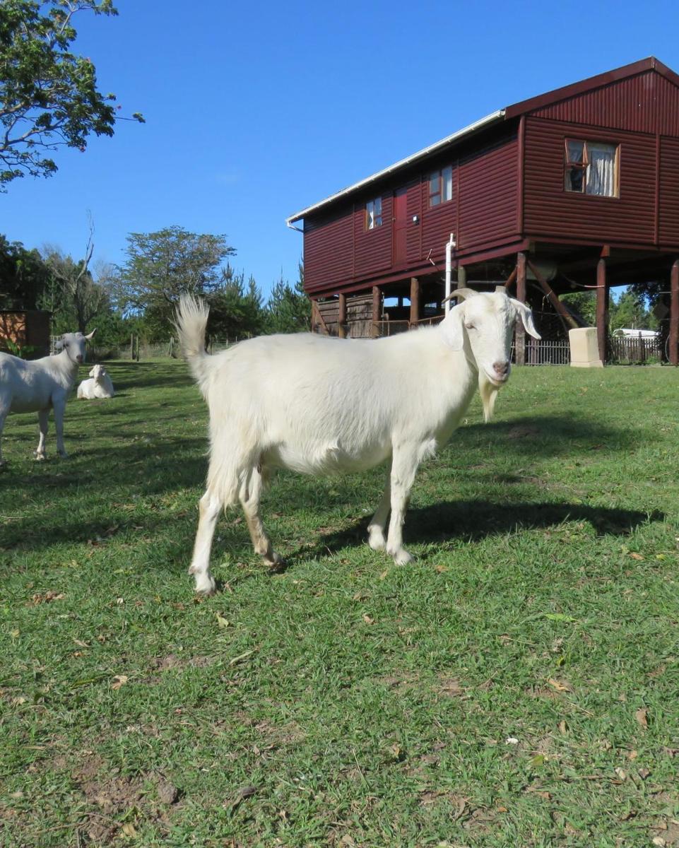 Misty View Farm Stay - Housity