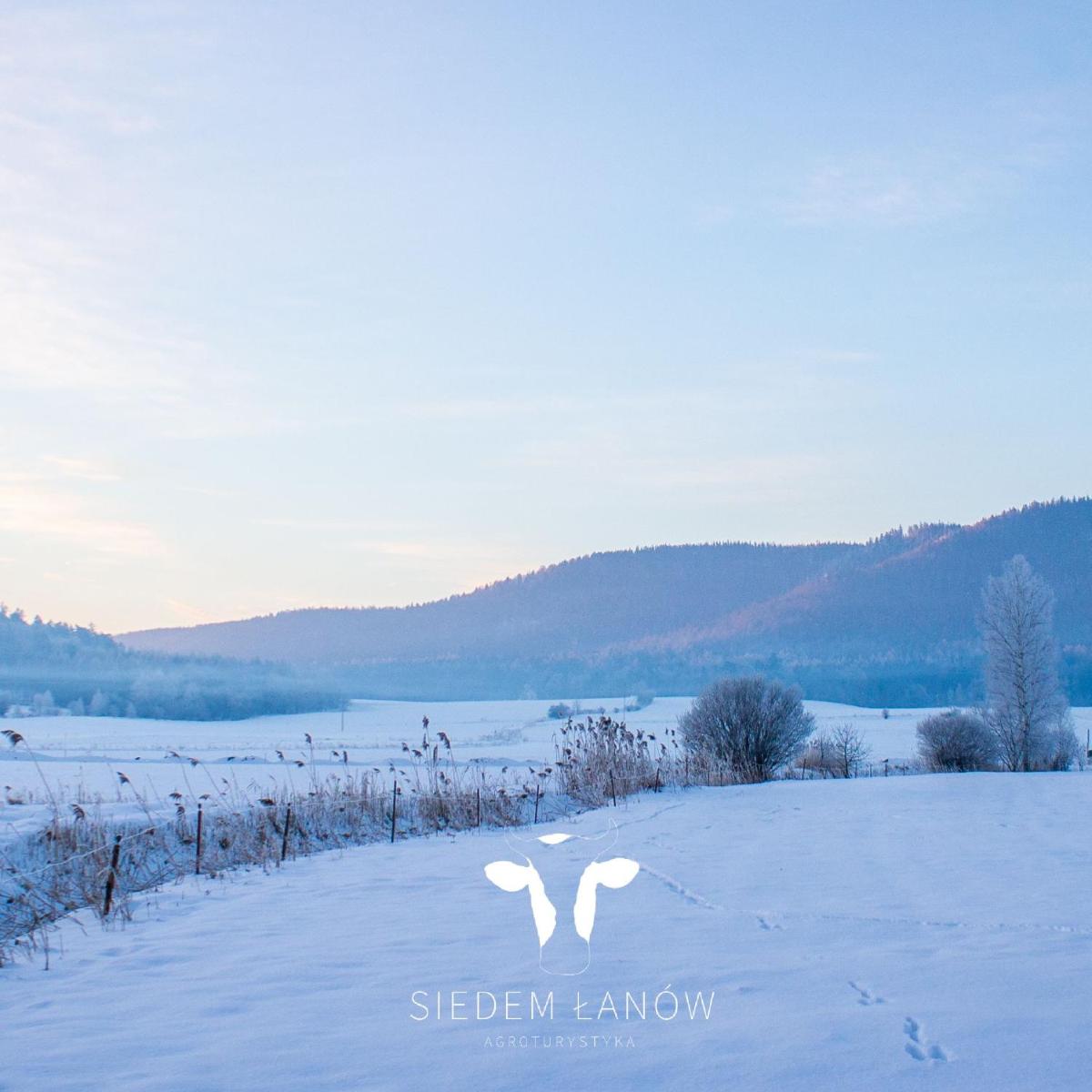 Siedem Łanów - Housity