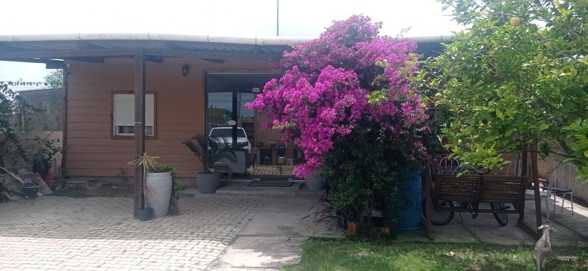 Gaboto, solo se reserva con sena , entrar en contacto - Housity