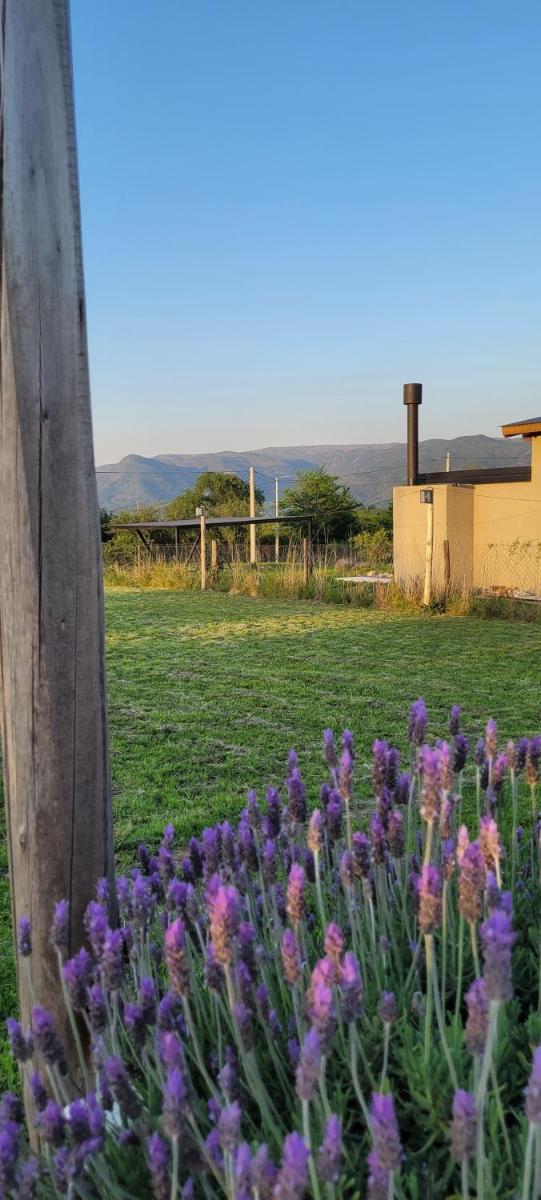 Cabaña los ciruelos - Housity