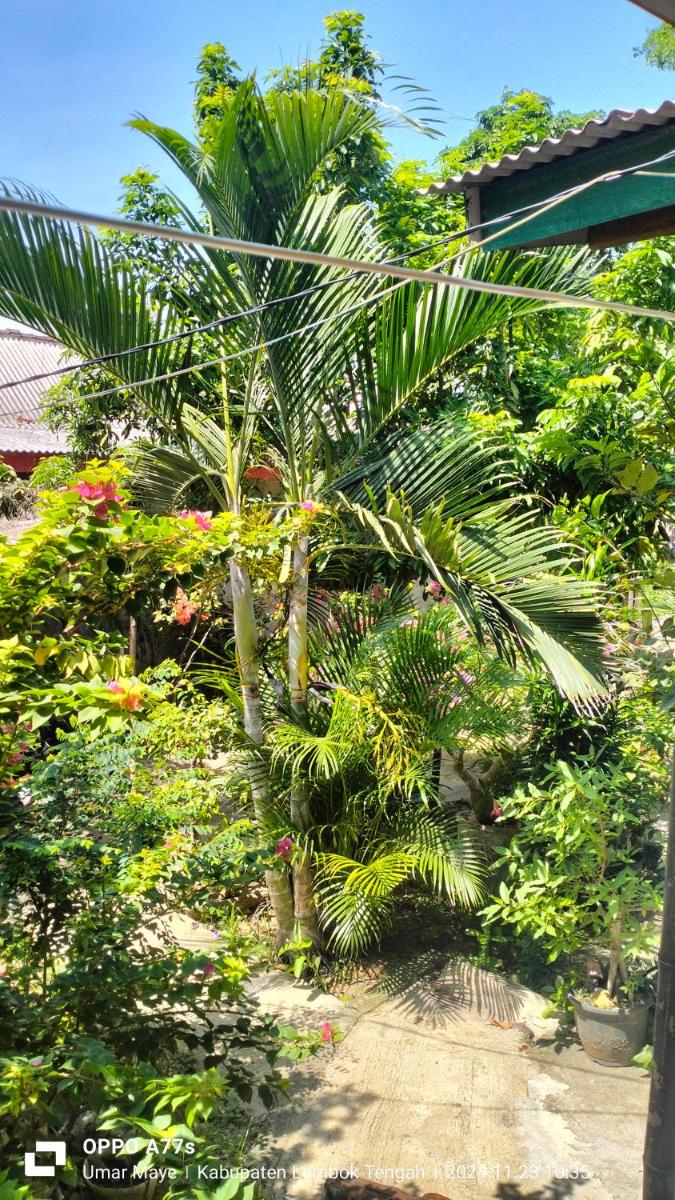 Nadil Homestay - Housity