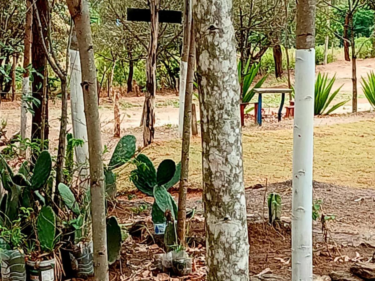 Camping Avohai - Housity