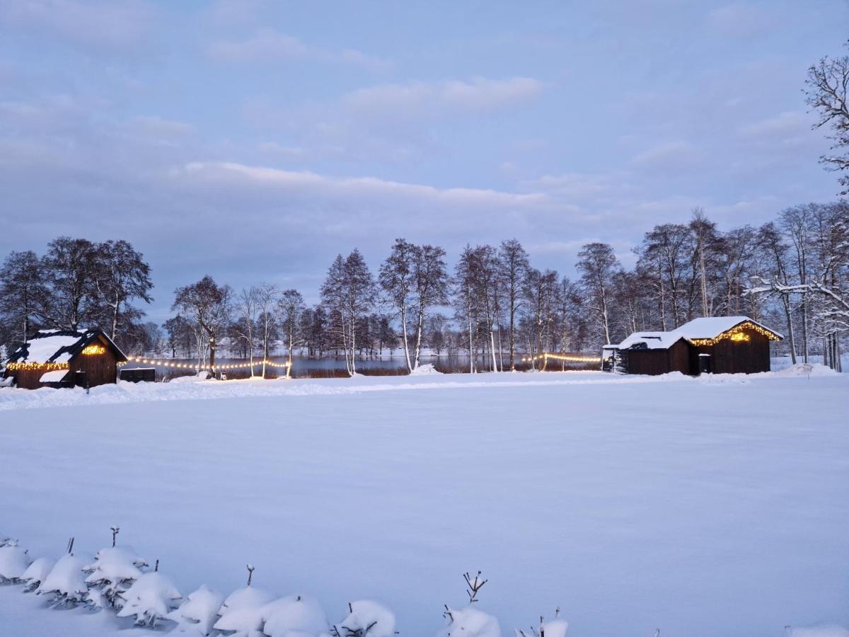 Auksi puhkemaja-1 - Housity