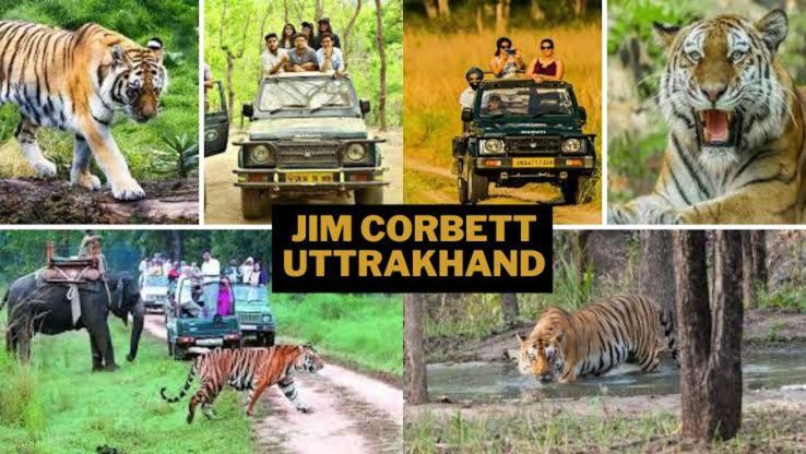 Corbett Rejoice Home Stay - Housity