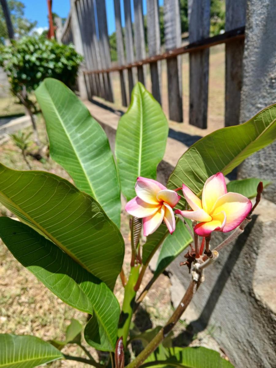 Villa CHRIS, Calme et Sérénité - Housity