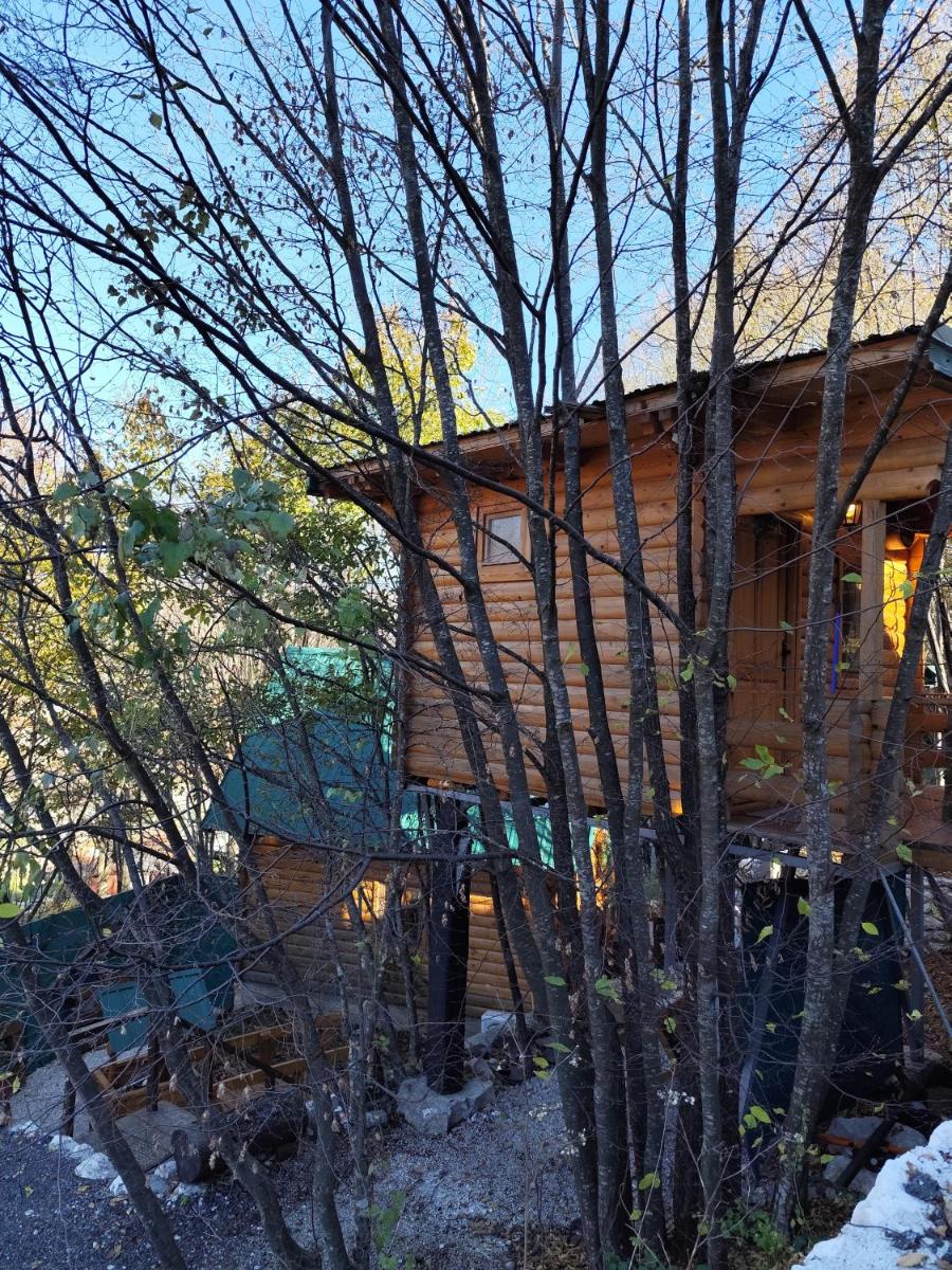 Still cabin - Housity