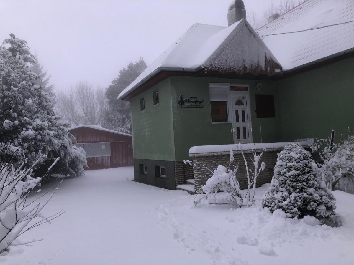 Bakonyi Mamutfenyő Vendégház - Housity