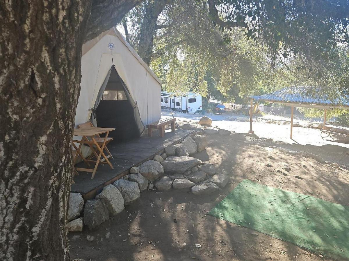 Oak Knoll Village - Housity