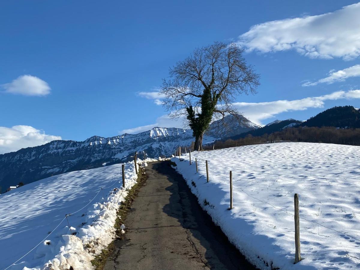 Herrlicher Blick auf Berge und See - Housity
