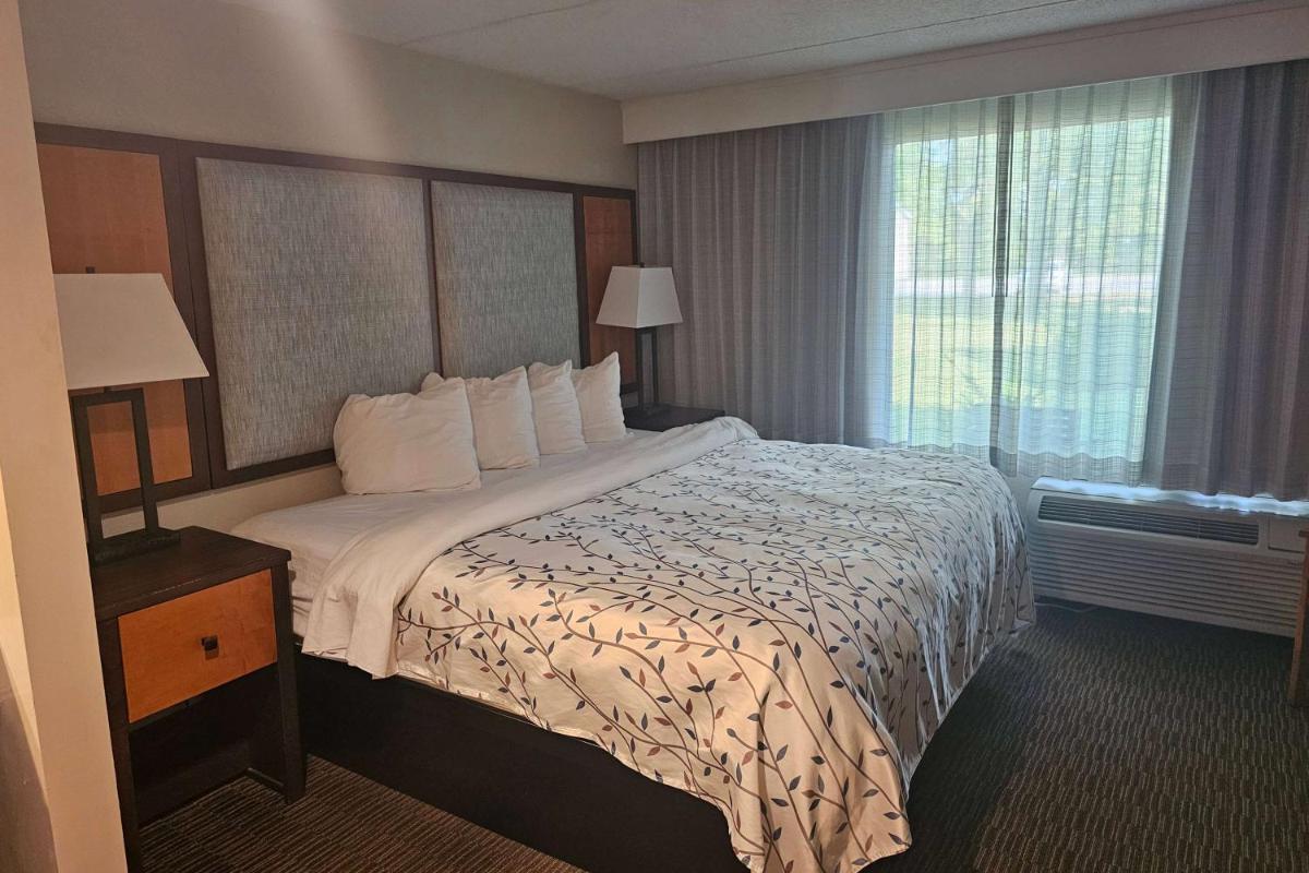 Americinn by Wyndham Birch Run - Frankenmuth - Housity