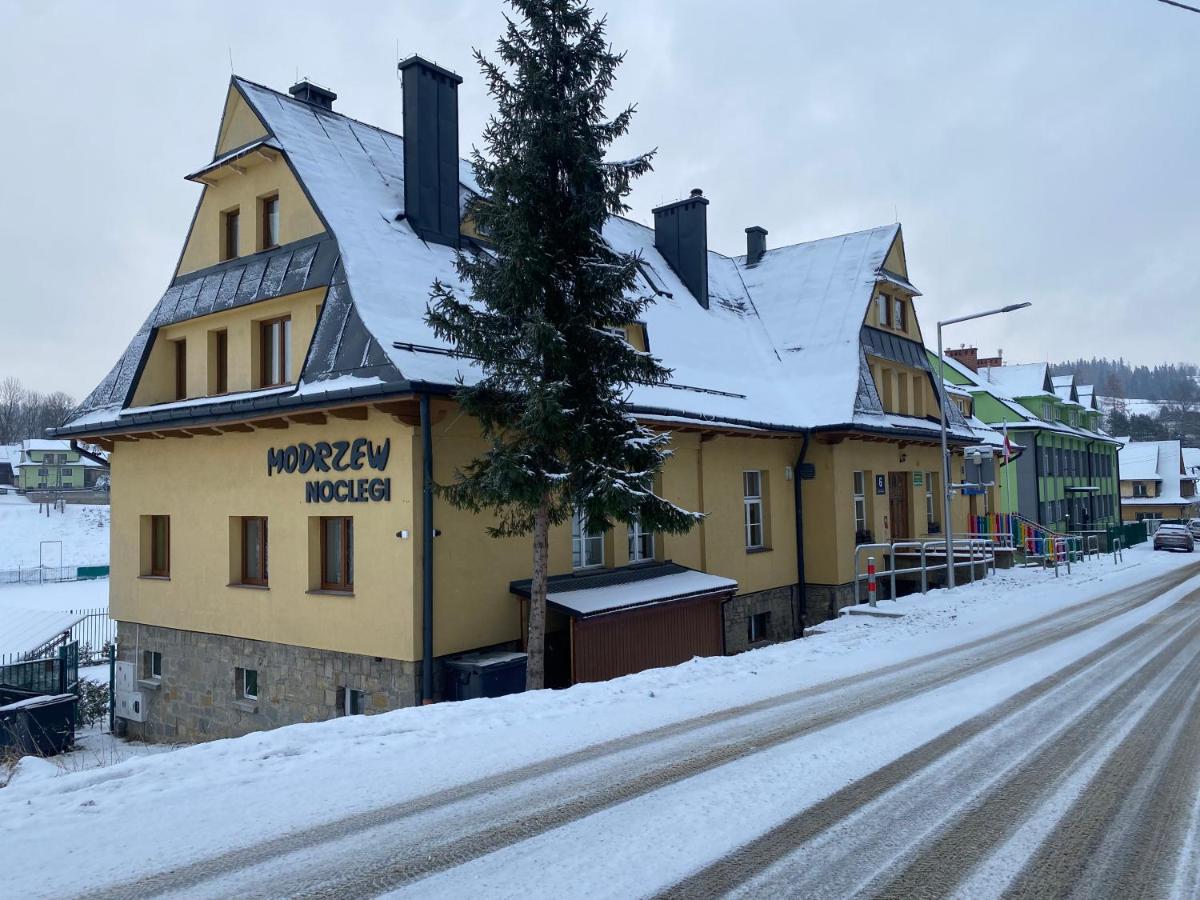 MODRZEW - noclegi w Pyzówce - Housity