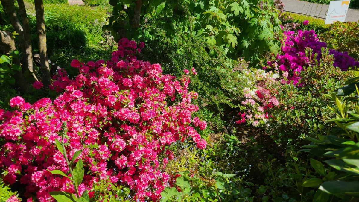 4 Sterne Ferienhaus Marlene mit großem Garten - Housity