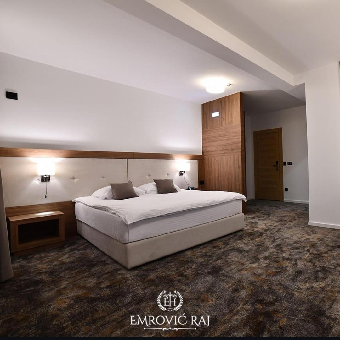 HOTEL EMROVIC RAJ - Housity