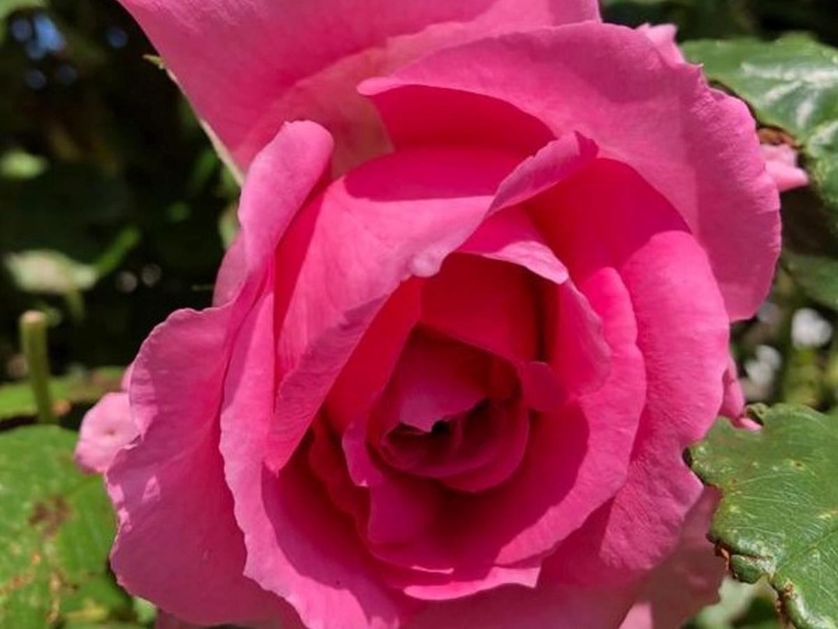 Apartmenthaus Schlosspark - Housity