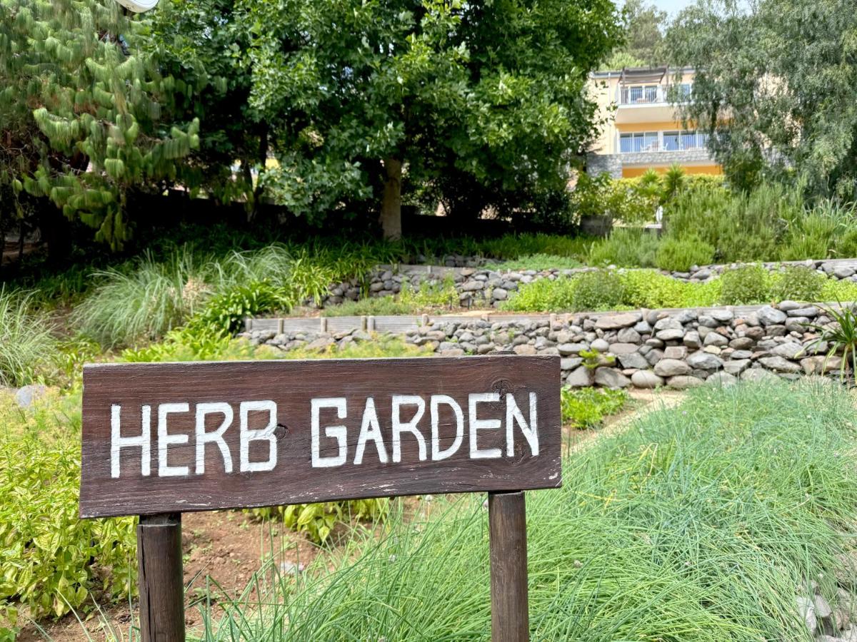 Um jardim no exterior de Village Cabo Girao