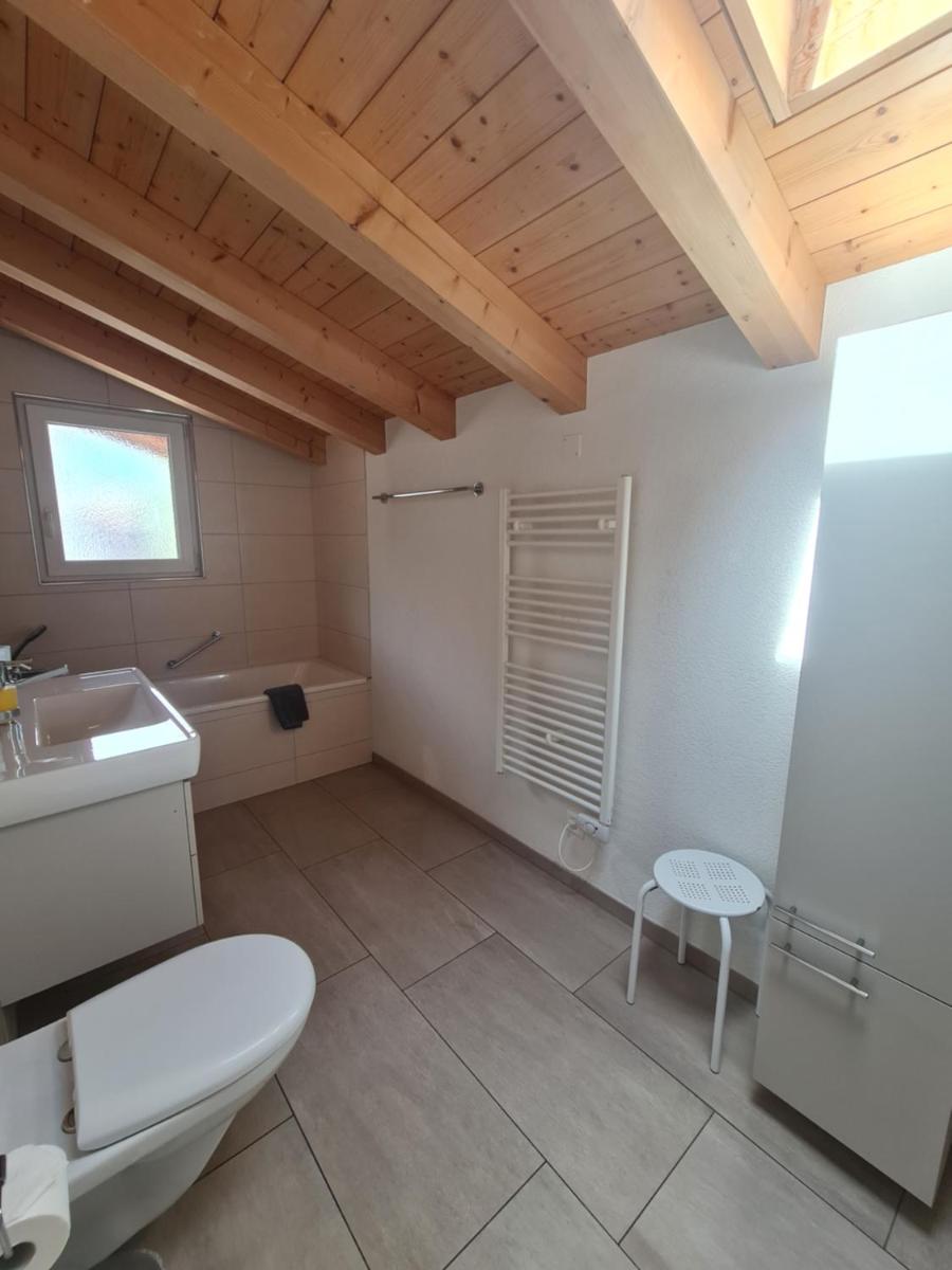 Jungfrau Penthouse - Aare Jungfrau AG - Housity