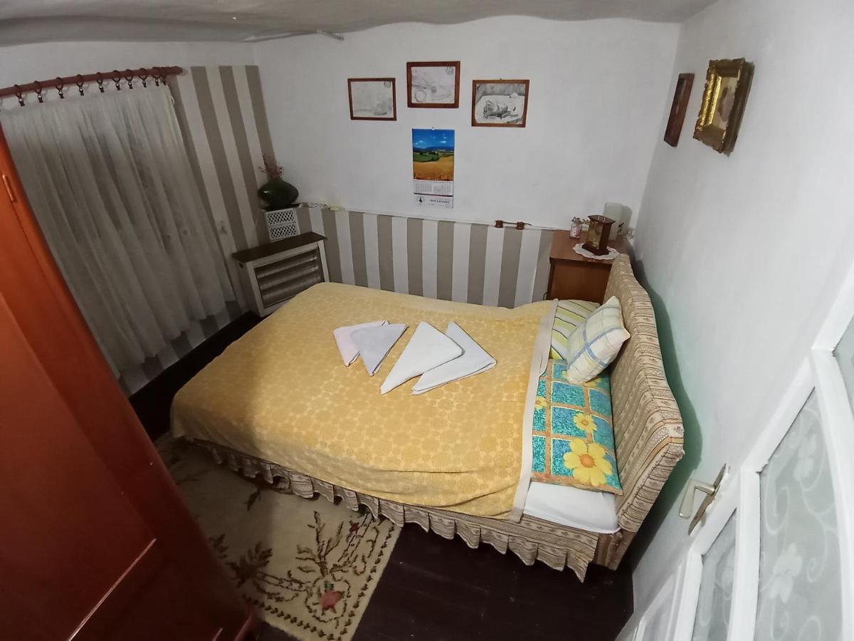 House Seoska OAZA - Housity